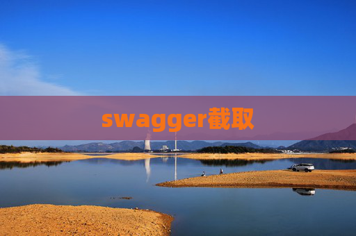 swagger截取